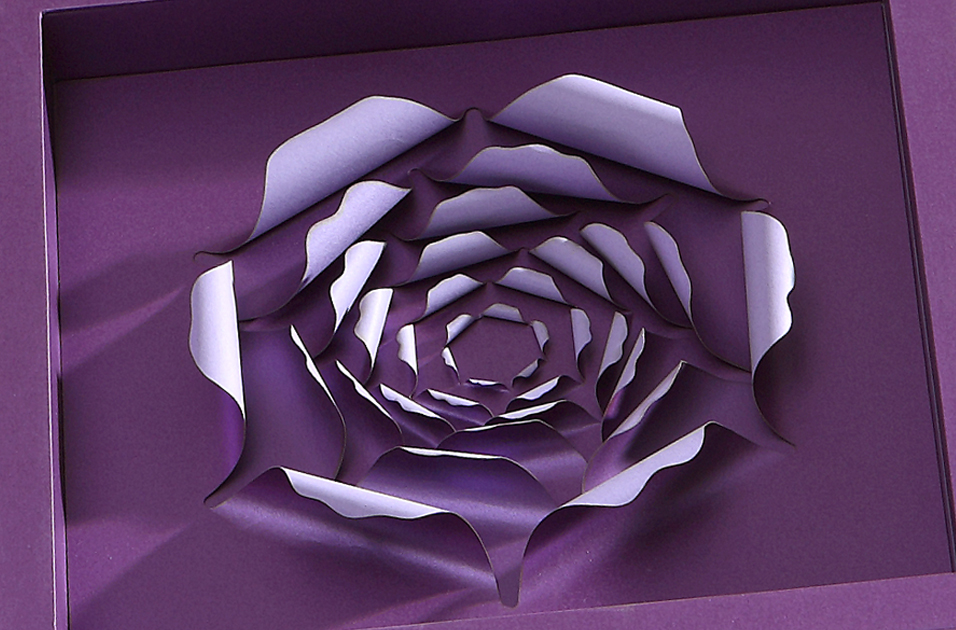 Wedding Invitations Cards