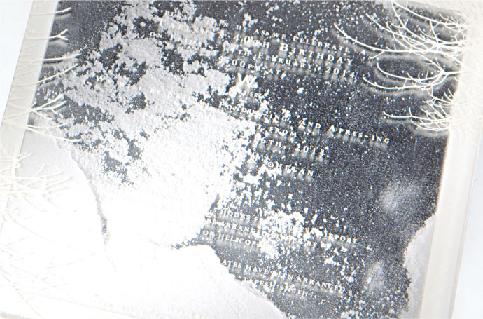 Birthday Party Invitation